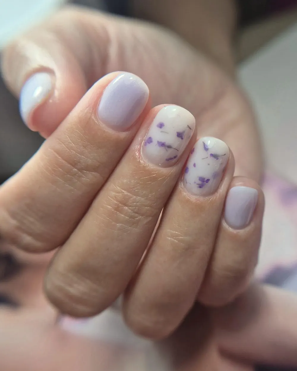Lilas & fleurs séchées